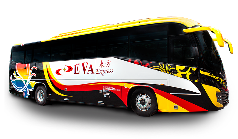 New Bus